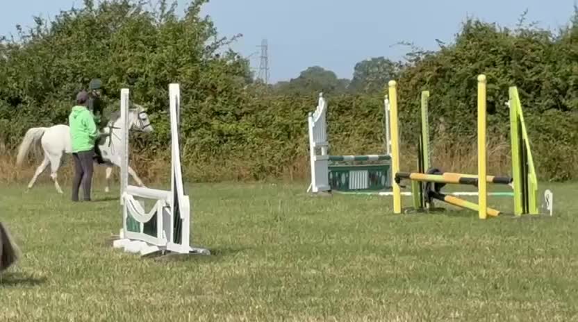 Irish Sports horses for sale: 13.1 Welsh x Irish sports pony  - Video 1