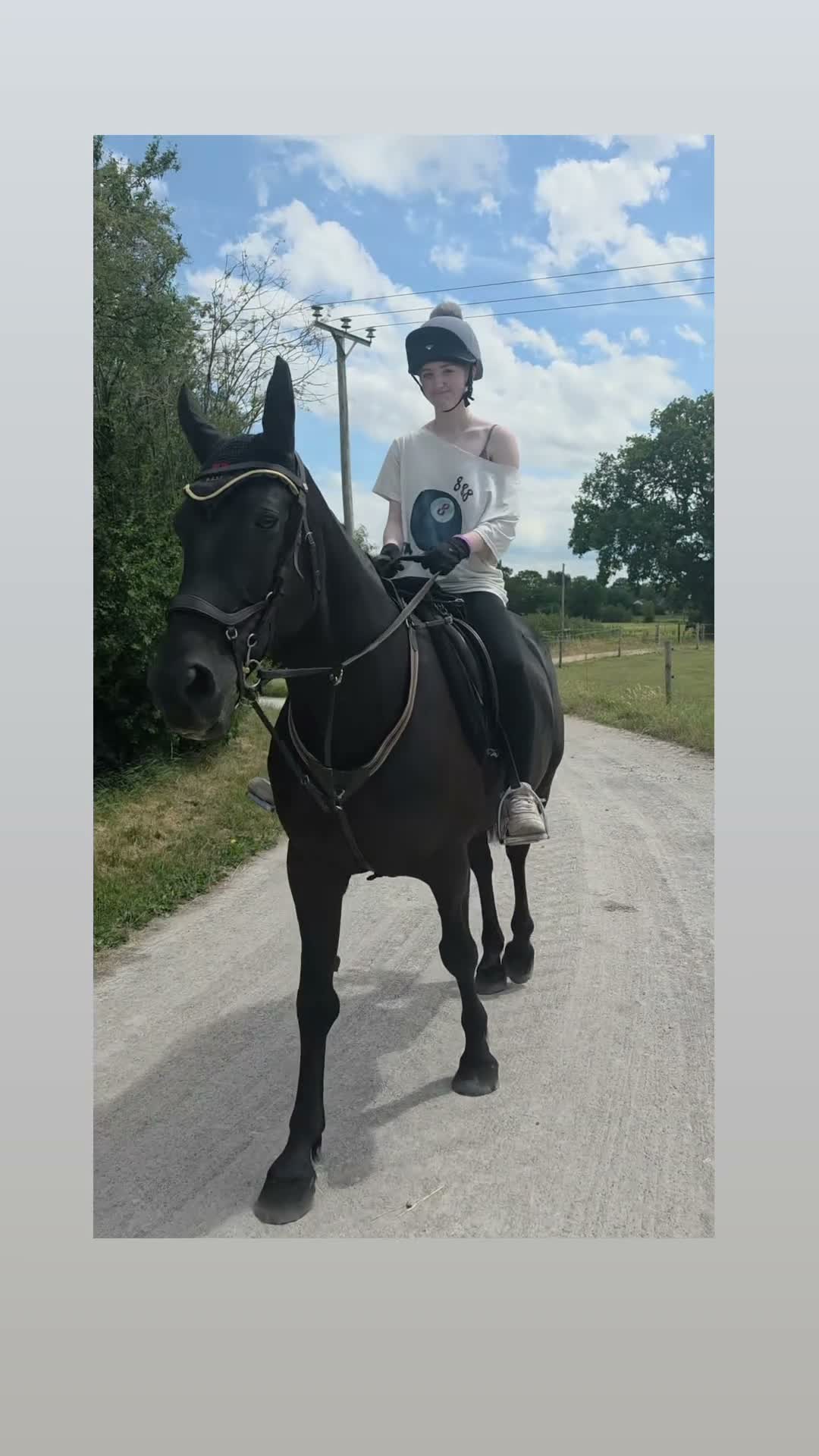 Irish Sports horses for sale: Sports horse in Middlewich - Video 1
