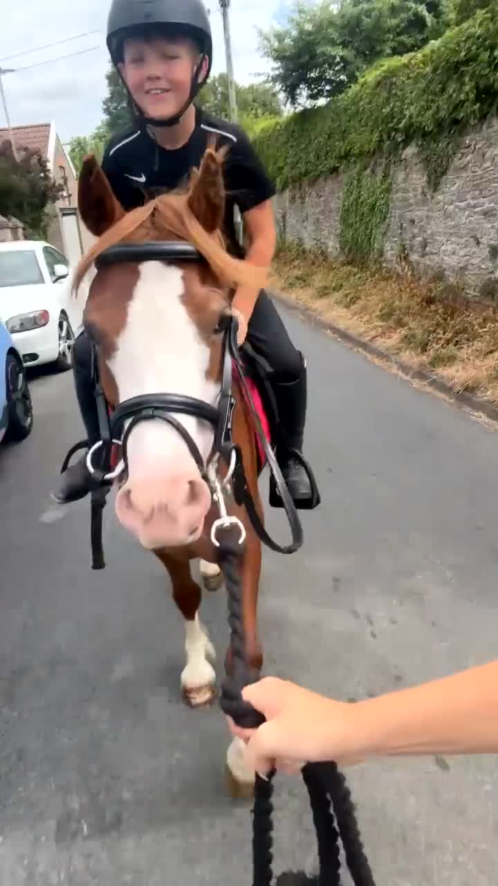 Welsh Section C horses for sale: Betsy, 12.2 mare! Welsh section c 6 year old in Bristol - Video 4