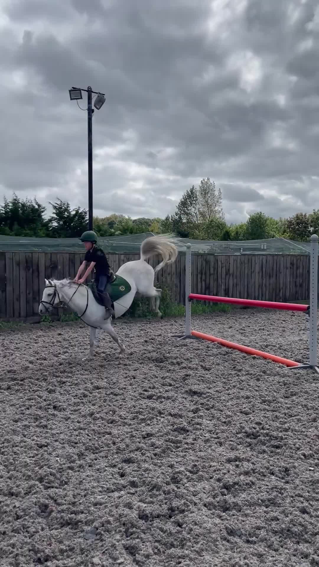 Irish Sports horses for sale: 13.1 Welsh x Irish sports pony  - Video 5