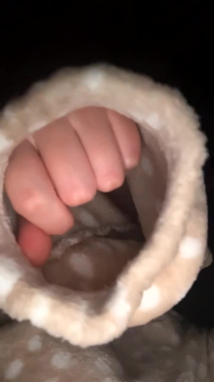 Rat rodents for sale: 3 male rats looking for a loving new home - Video 2