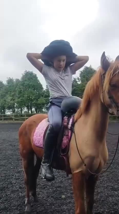 British Warmblood horses for sale: British riding pony in Bishop Auckland - Video 1