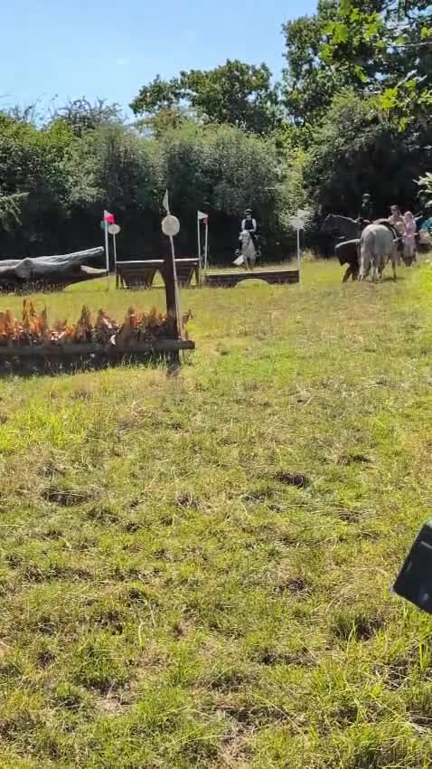 Welsh Section A horses for sale: 11.3 Welsh A Gelding  in Bristol - Video 3