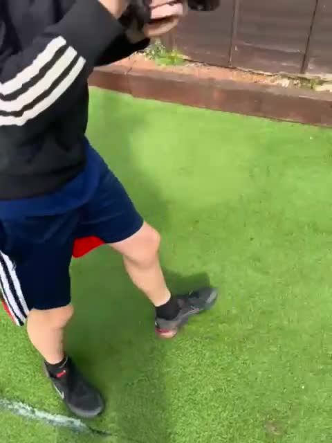 Cockapoo dogs for sale: 🐶 Beautiful F2 Cockapoo Puppies for Sale 🐶 - Video 2