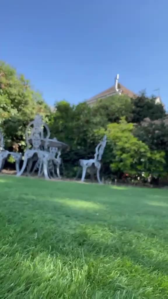 Great Dane dogs for sale: Stunning KC Registered champion bloodline Puppies - Video 1