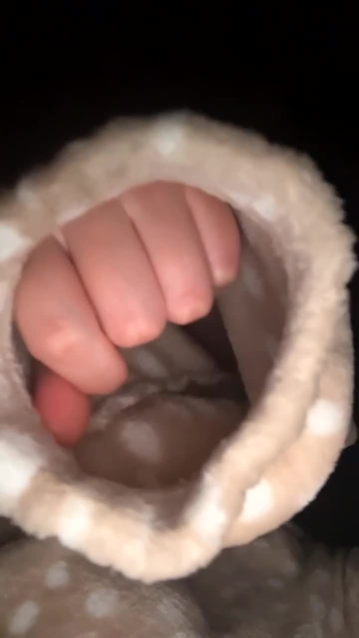 Rat rodents for sale: 3 male rats looking for their forever home - Video 3