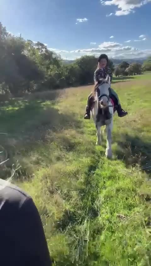 Miniature horses for sale: Children’s Lead Rein Pony - Video 2