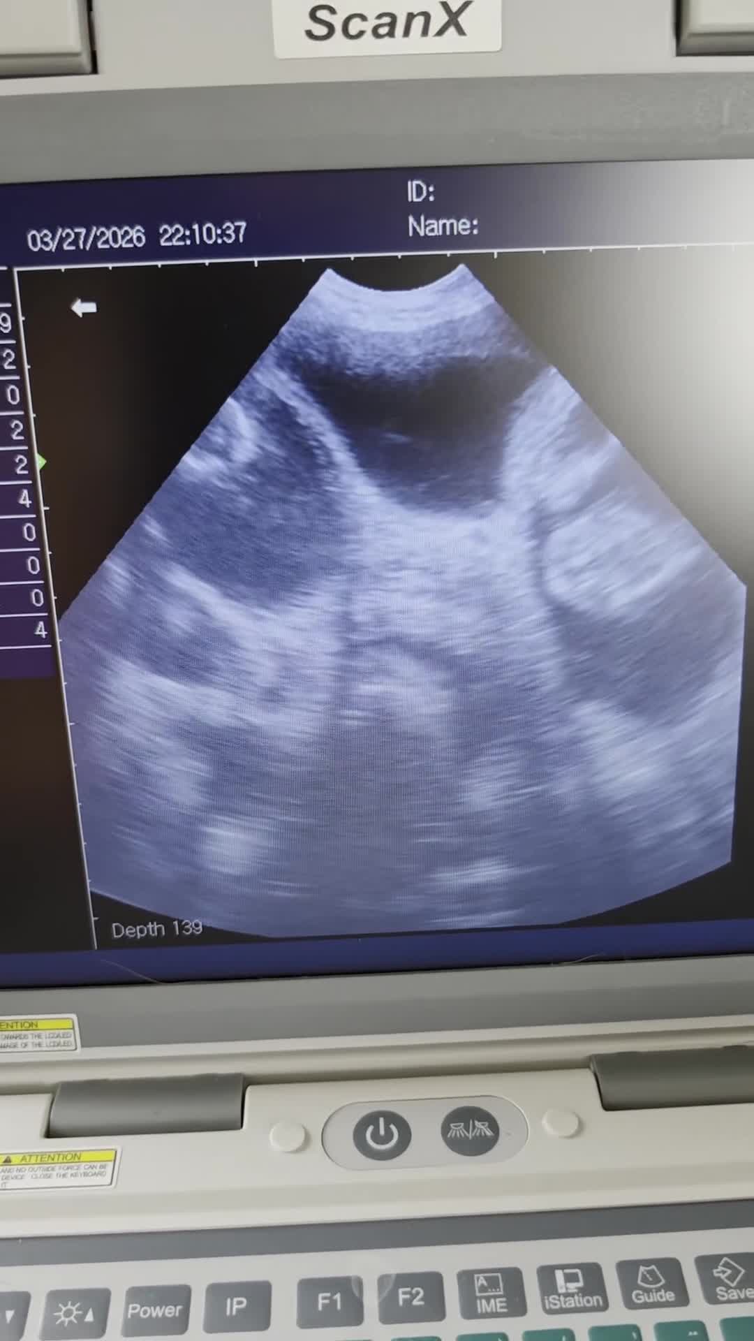 German Shepherd dogs for sale: Upcoming litter - due 19/04/26 - Video 1