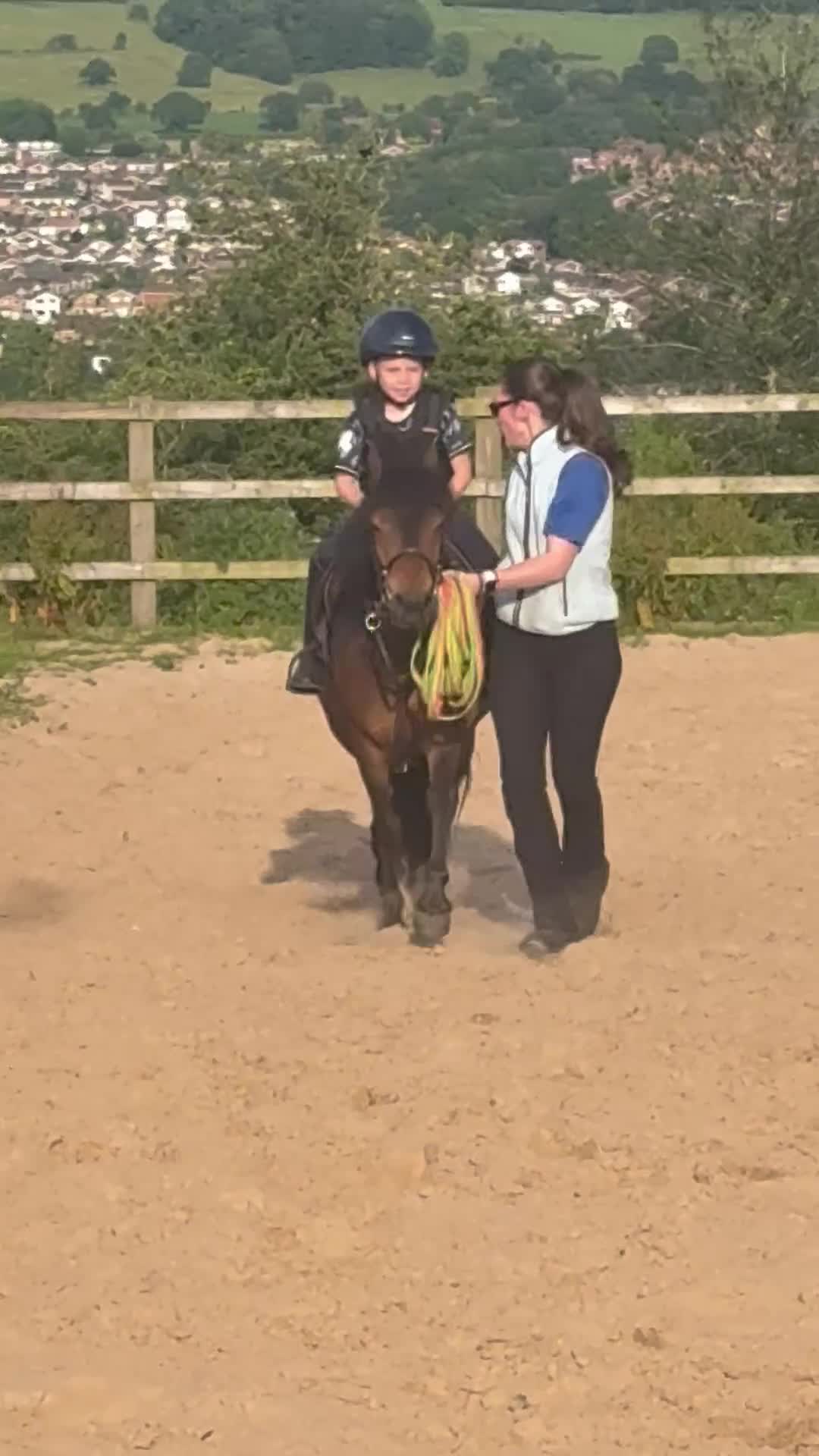 Dartmoor horses for sale: 12h Dartmoor hill  in Stoke-on-Trent - Video 1
