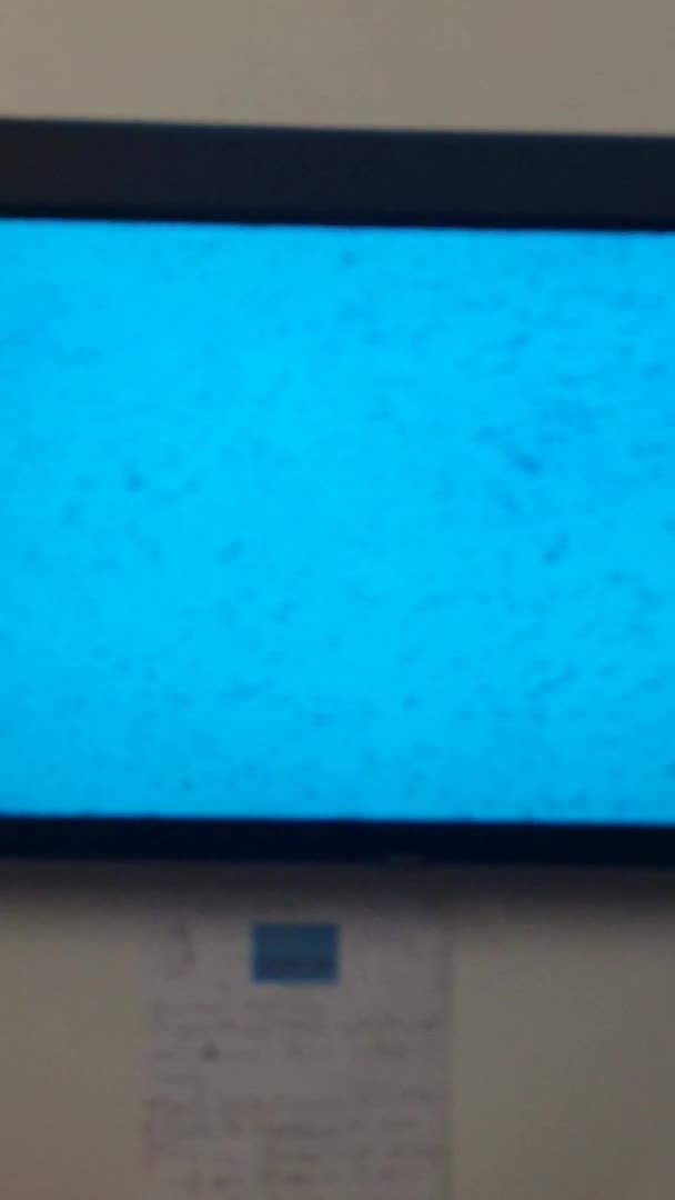 Cockapoo dogs for stud: Proven Red & white F1 cockapoo stud dog. in Barnsley - Video 2