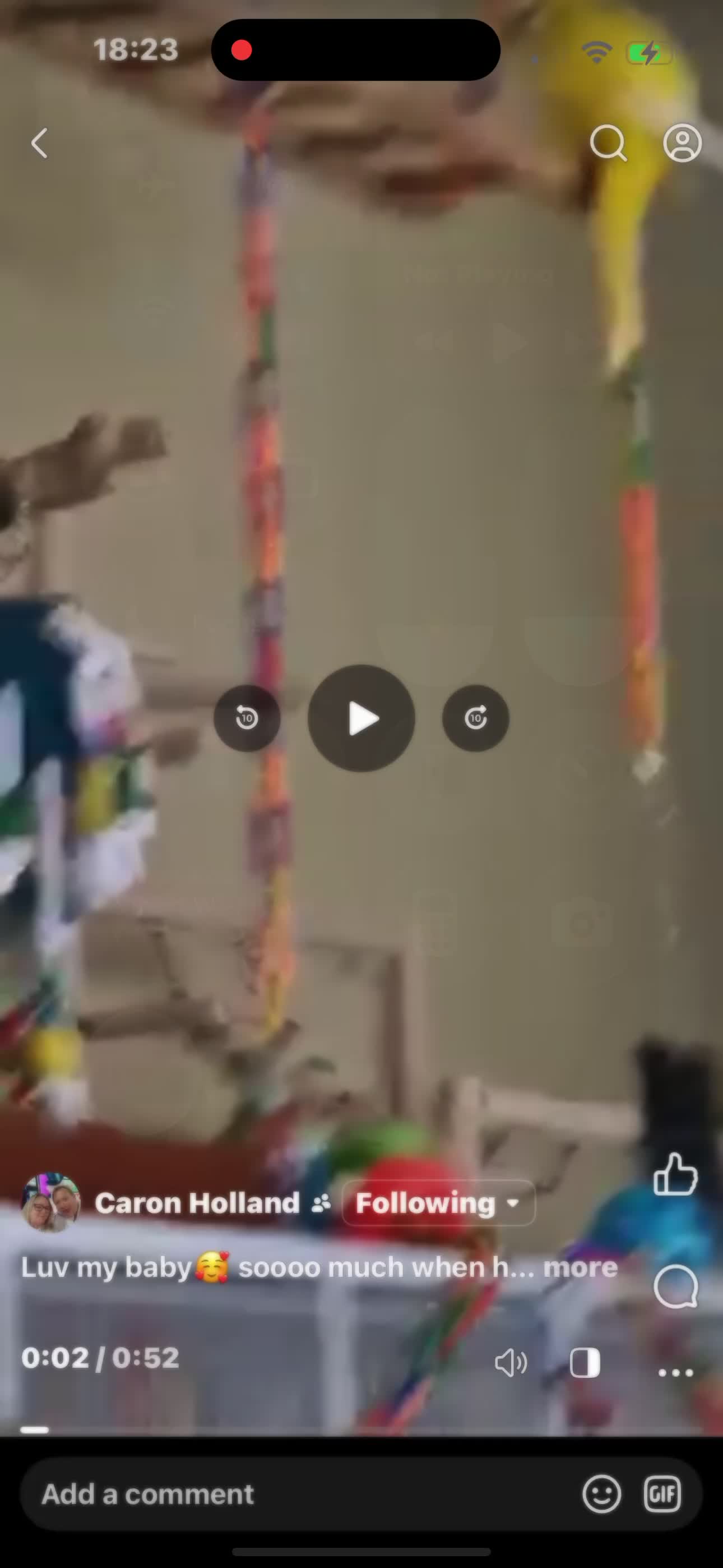Parrots birds for sale: Talking & tame Quaker parrot  - Video 2
