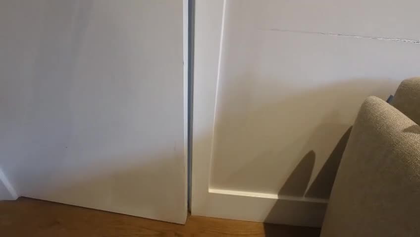 Cockapoo dogs for sale: •F1B Cockapoo Pups - Black & Tan - Ready 19th Dec• - Video 1