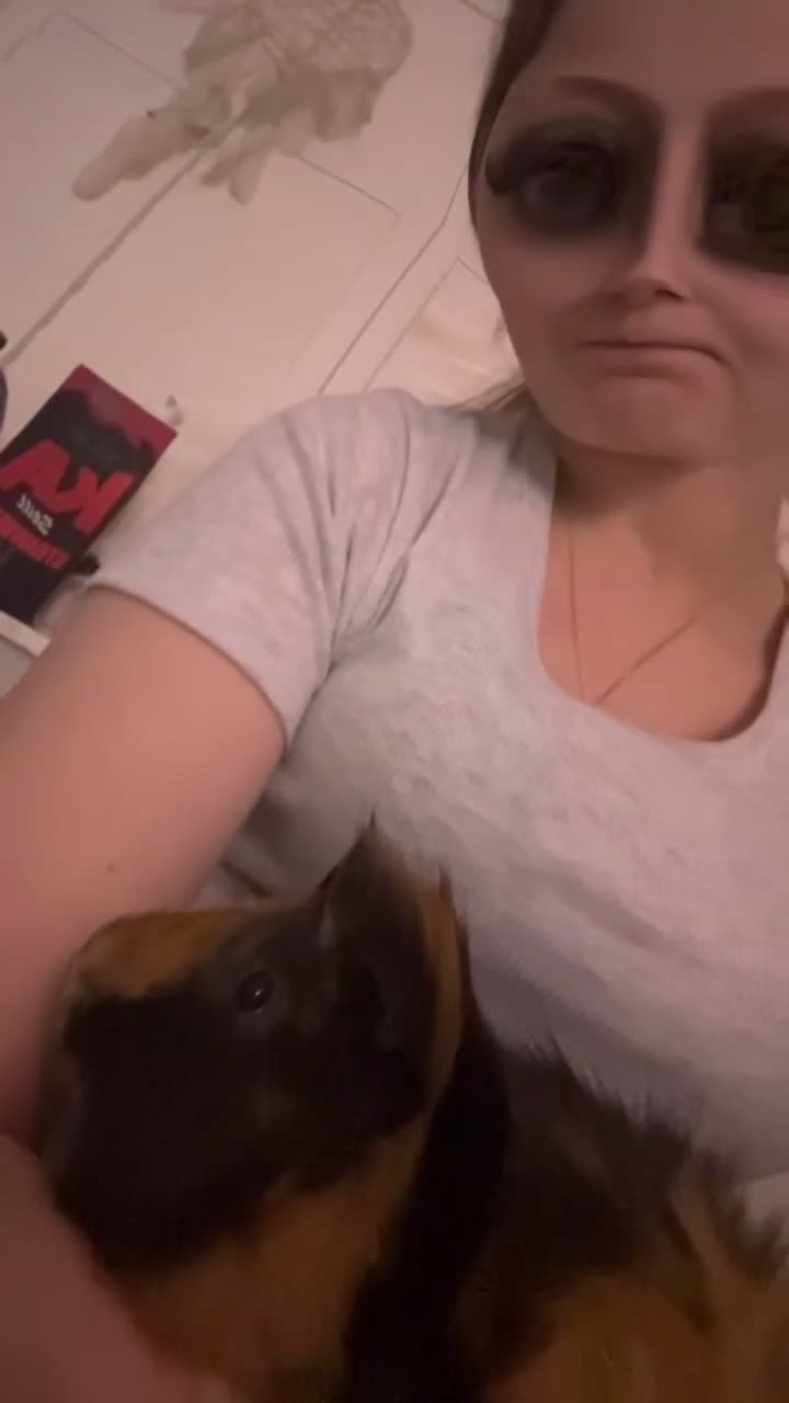 Guinea Pig rodents for sale: piglet and roo in London - Video 3