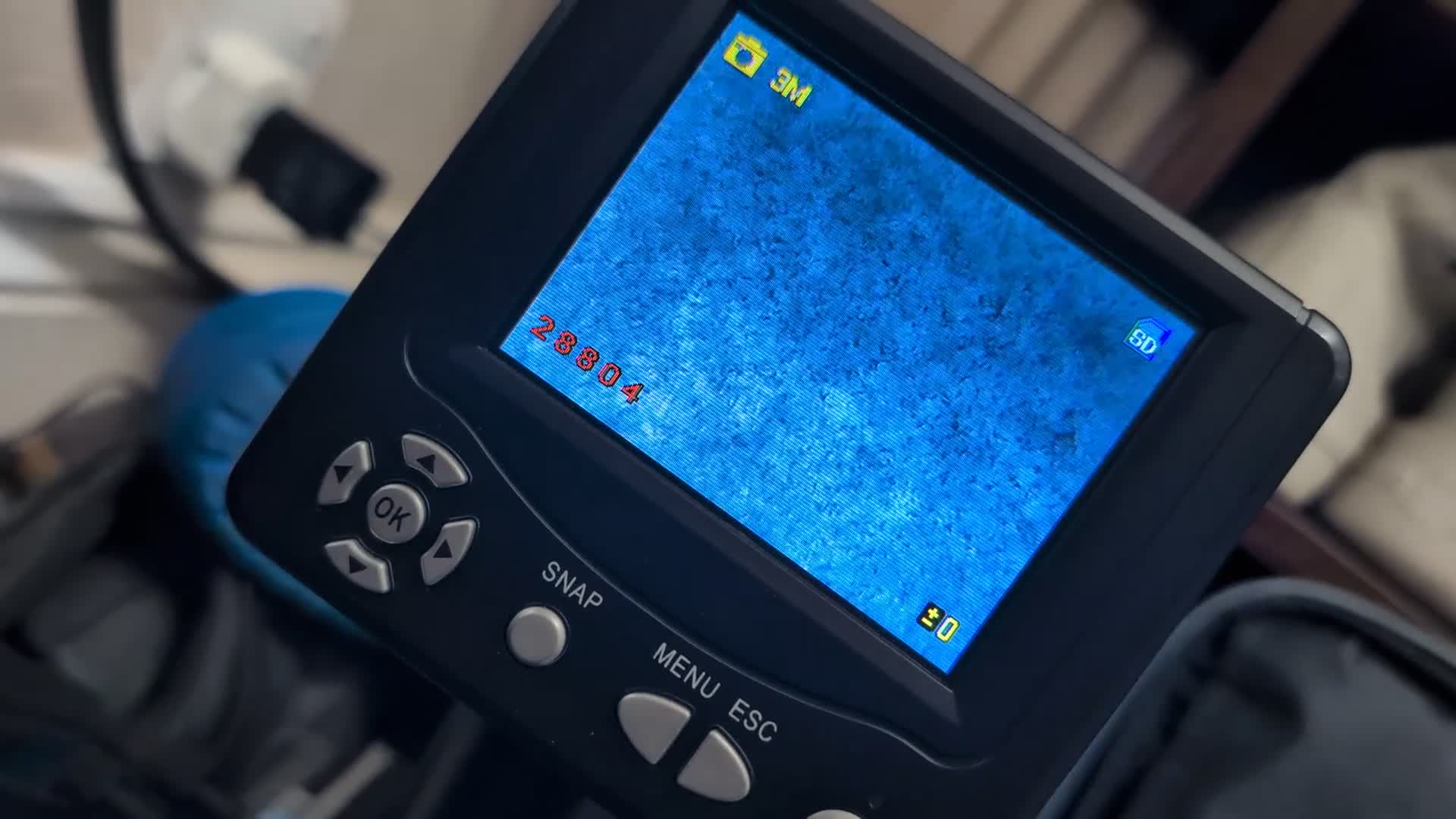 German Shepherd dogs for stud: German Shepherd Stud KC - Available for AI/Natural in Halesowen - Video 1