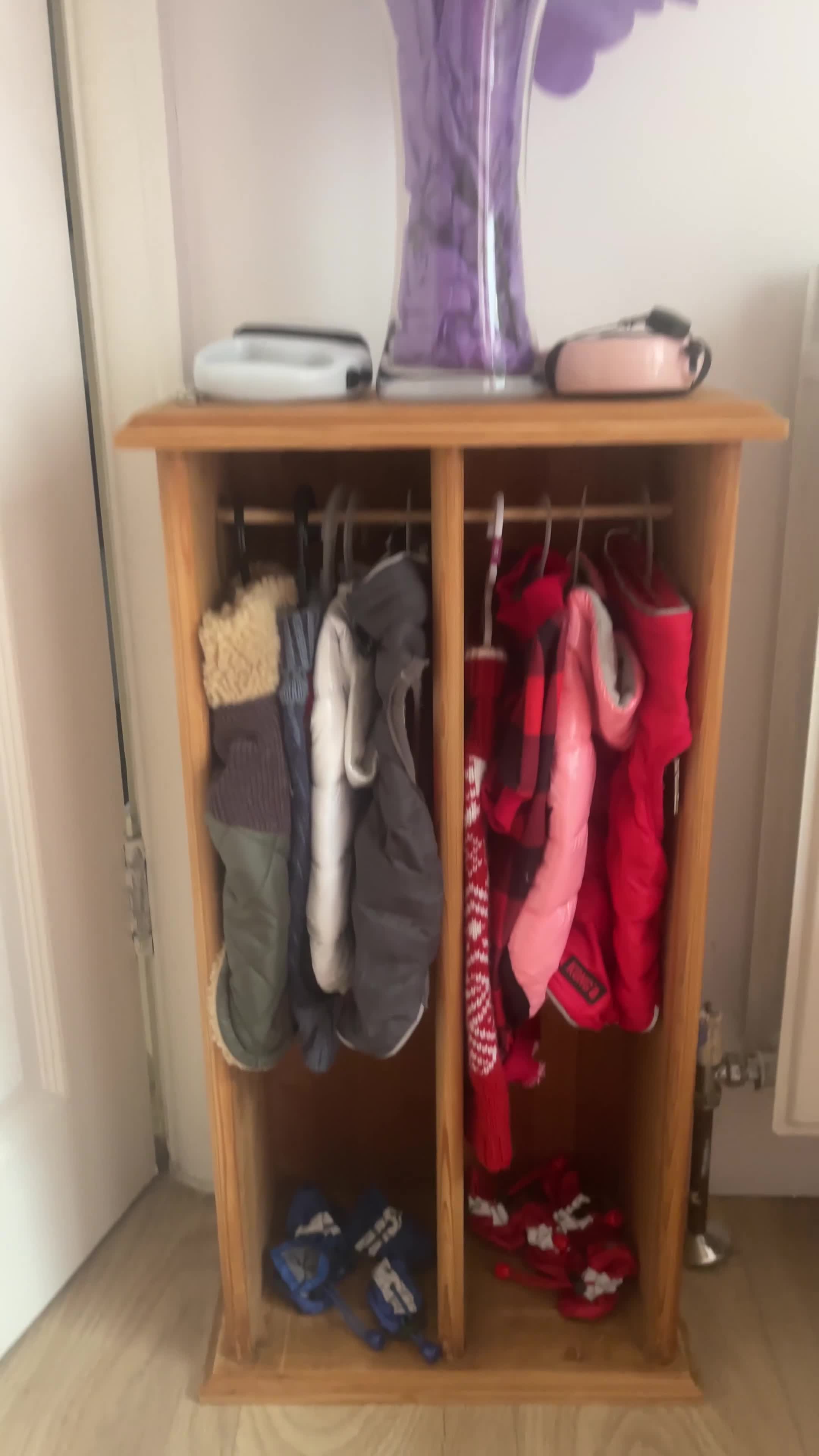 Chihuahua dogs for sale: Rehome Chihuahua  - Video 2