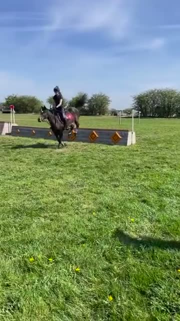 English Thoroughbred horses for sale: Sienna - 15.2hh, 10yo TB MARE in Corby - Video 3