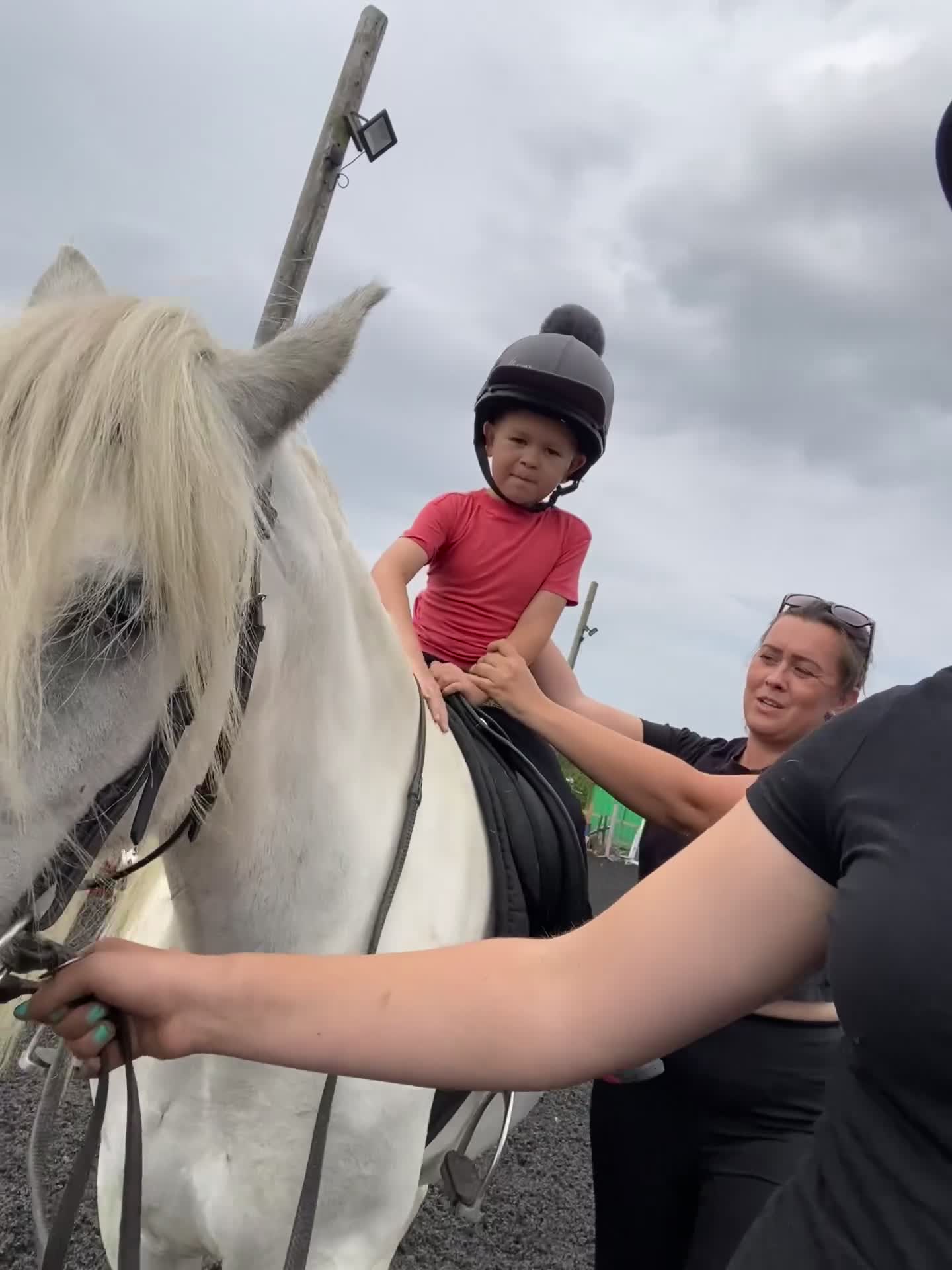 Dales horses for sale: Unreg dales x cob mare - Video 2