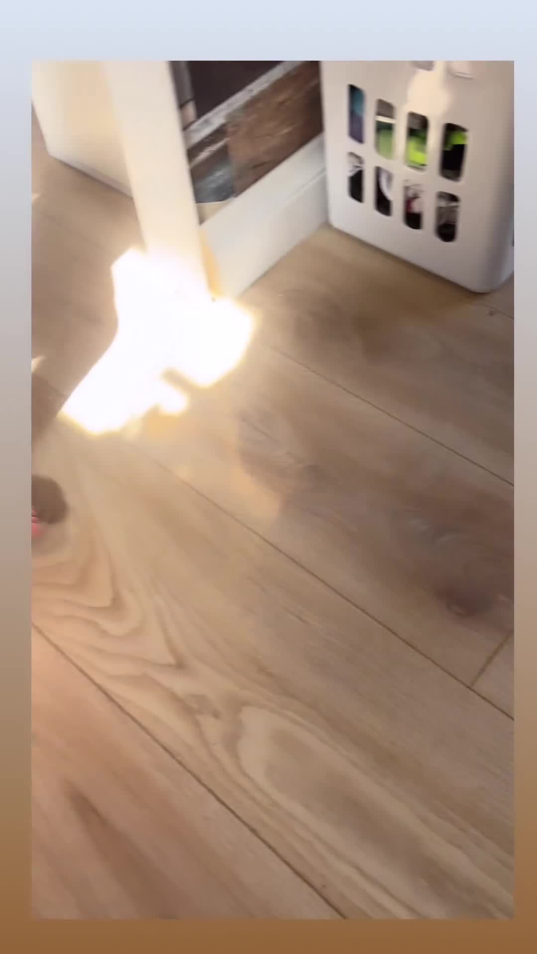 Cockapoo dogs for sale: Our beautiful bundles of fluff - Video 3