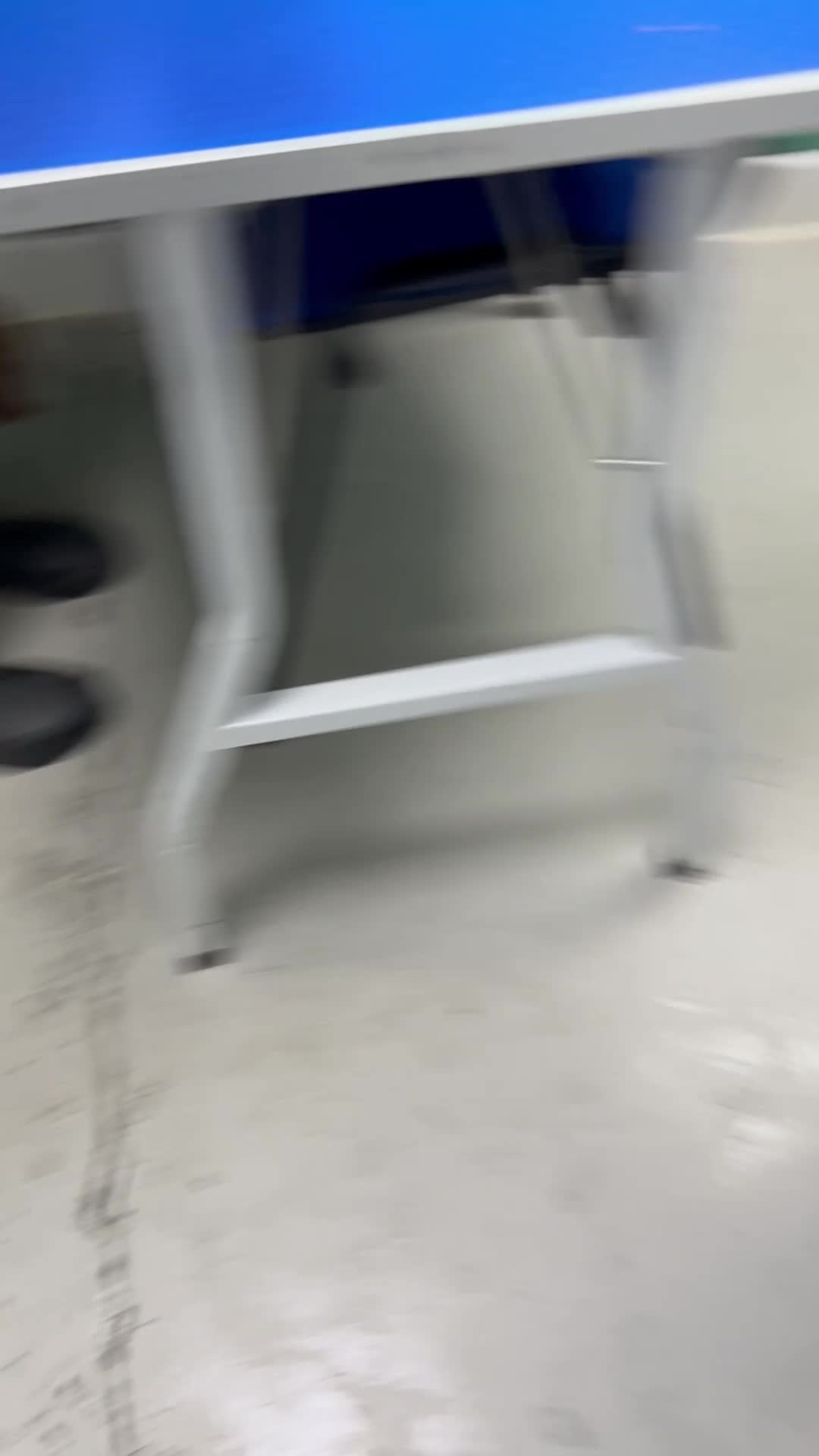 Cockapoo dogs for sale: F1 cockapoos  - Video 2