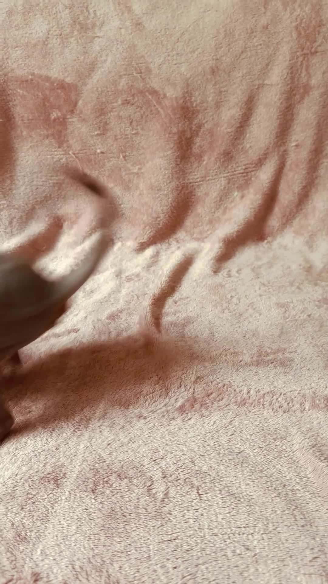 Sphynx cats for sale: TICA Sphynx kittens 1 Boy & 1 Girl  - Ready Now - Video 1