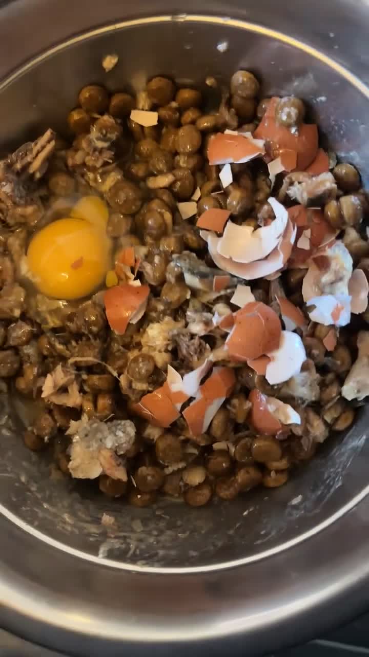 Cane Corso dogs for sale: *** 11 WEEK OLD PUPPY Cane corse boy 🥇 - Video 1