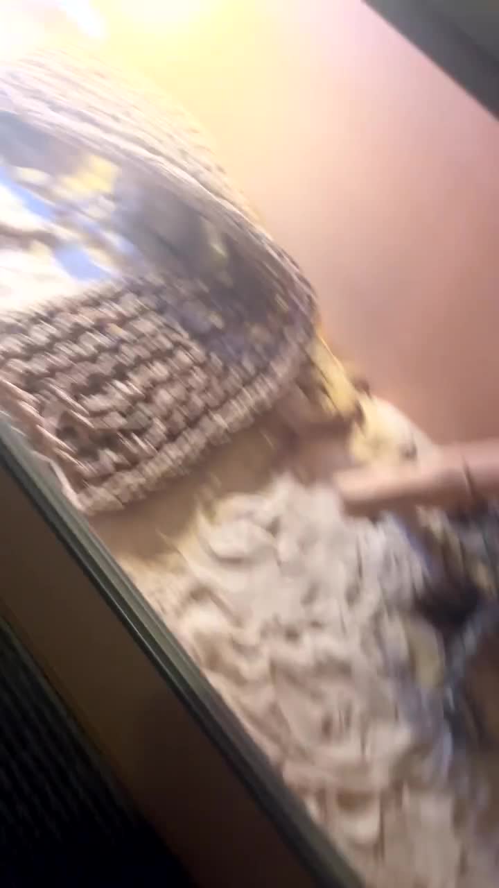 Bearded Dragon reptiles for sale: bearded dragon for sale - Video 1