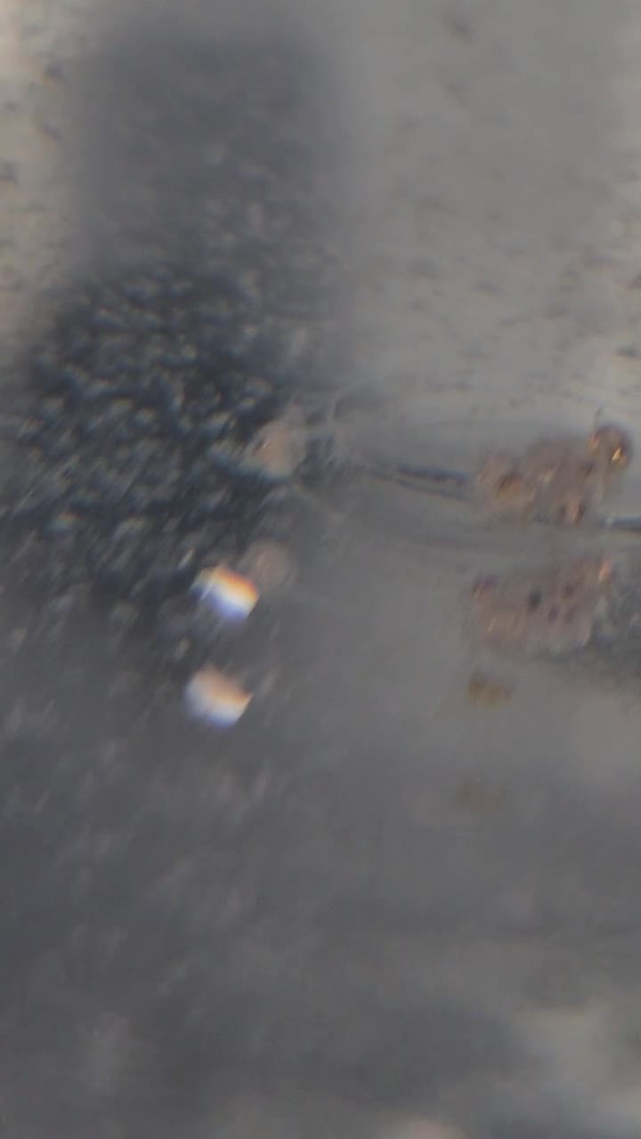 Ricefish fish for sale: Japanese Rice Fish Babies - Ready in 2 weeks in Peterborough - Video 1