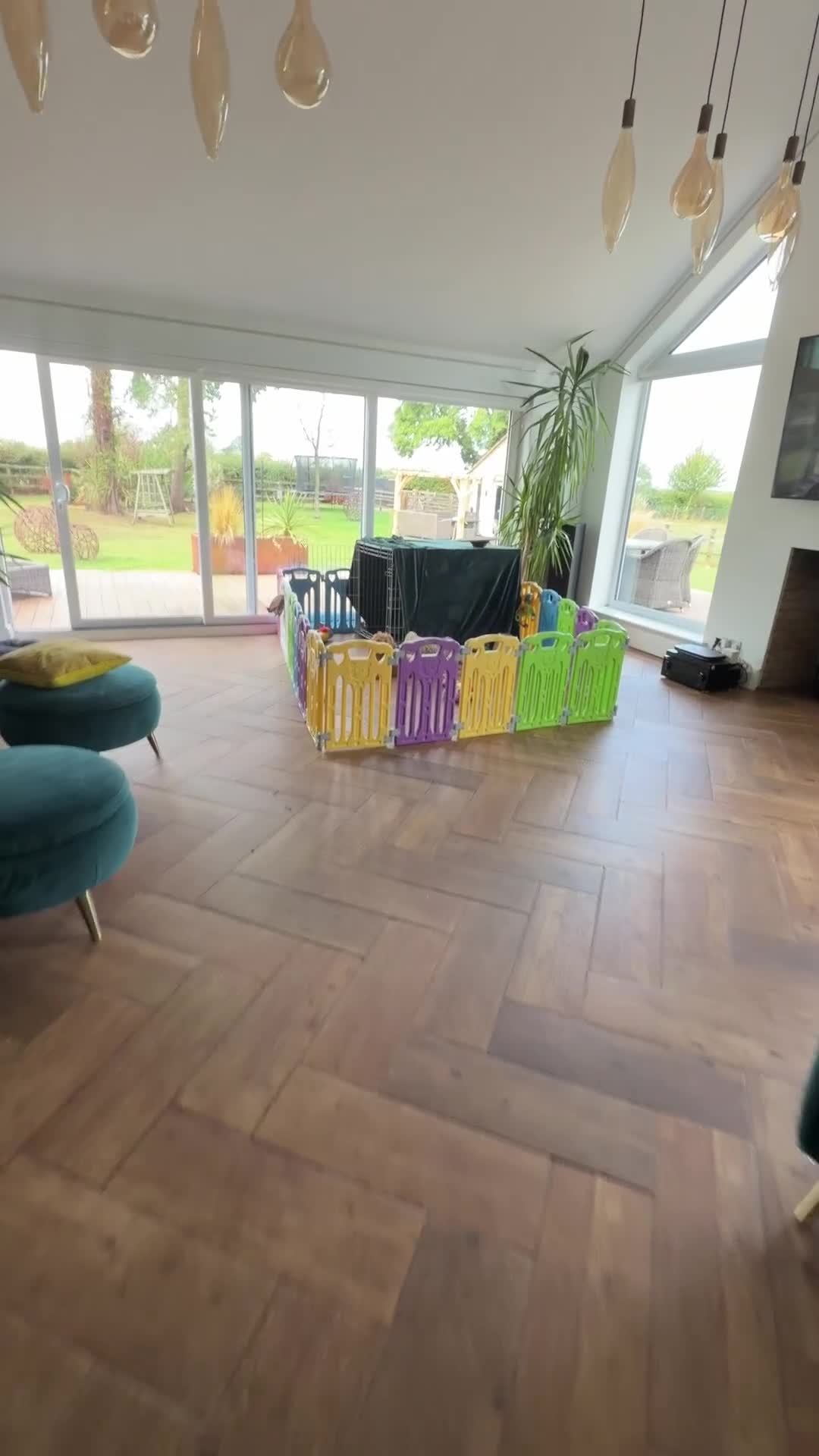 Mini Goldendoodle dogs for sale: READY TO LEAVE - 5* BREEDER & POLICE DOG TRAINER  in Lincoln - Video 1