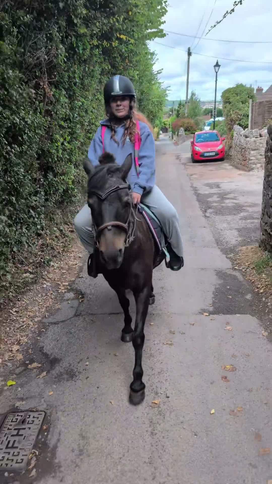 Dartmoor horses for sale: 12.2 Lead rein pony - Video 2