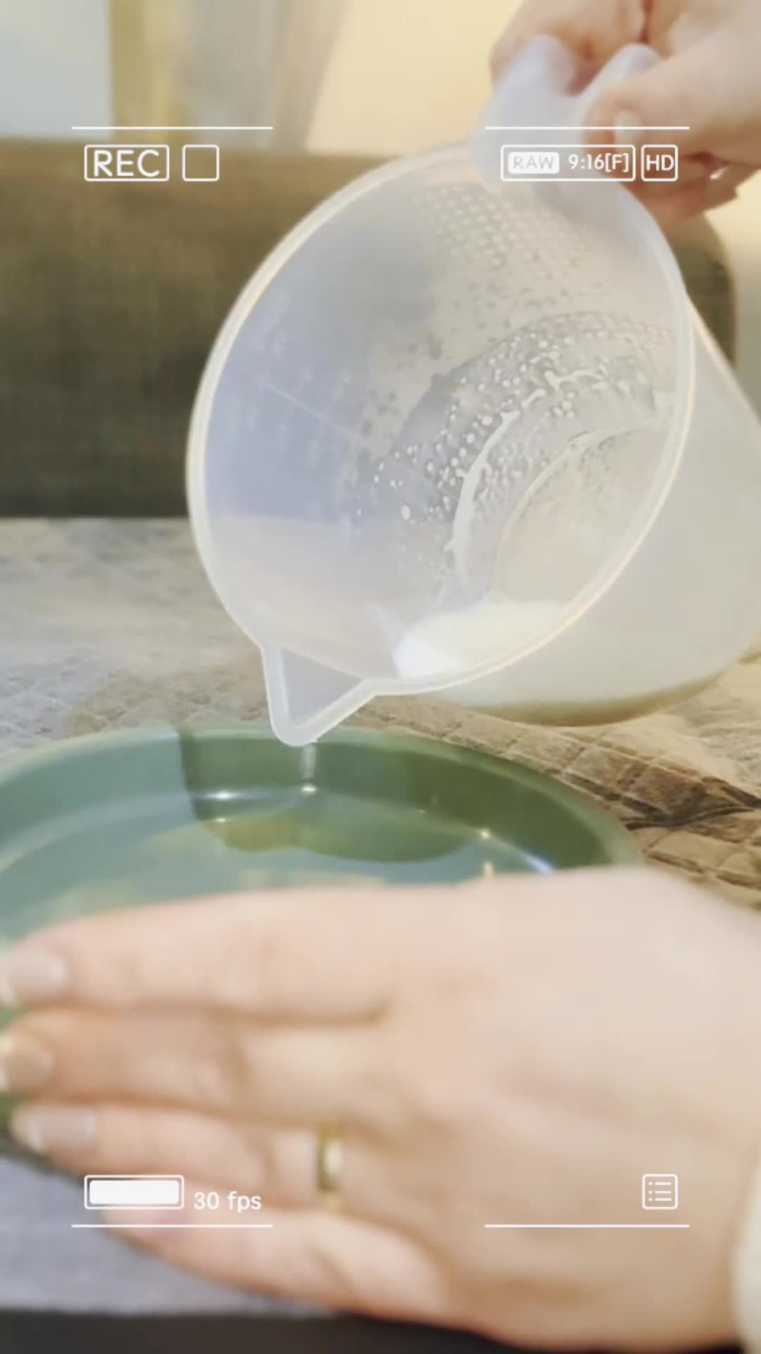 Maltipoo dogs for sale: Maltipoo puppy - Video 2