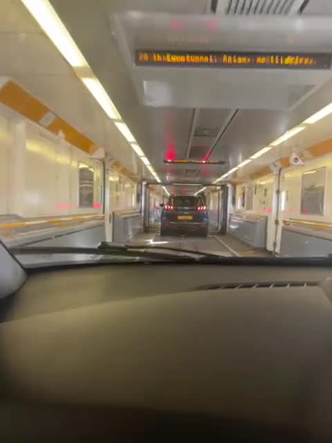 Sphynx cats for sale: Sphynx kittens  - Video 1