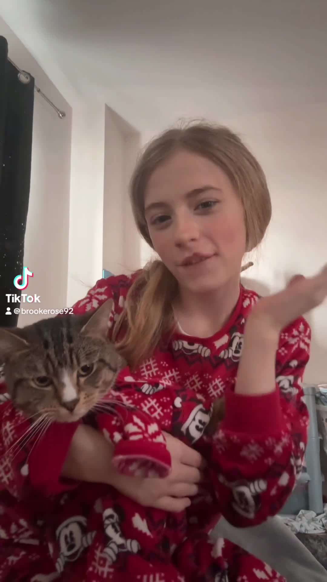 Mixed Breed cats for sale: Hugo jay - Video 2