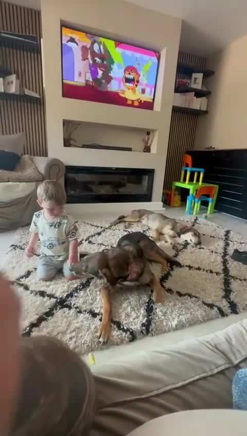 Mixed Breed dogs for adoption: DOTTY – 9 years old, Female, Mixed Breed - Video 3