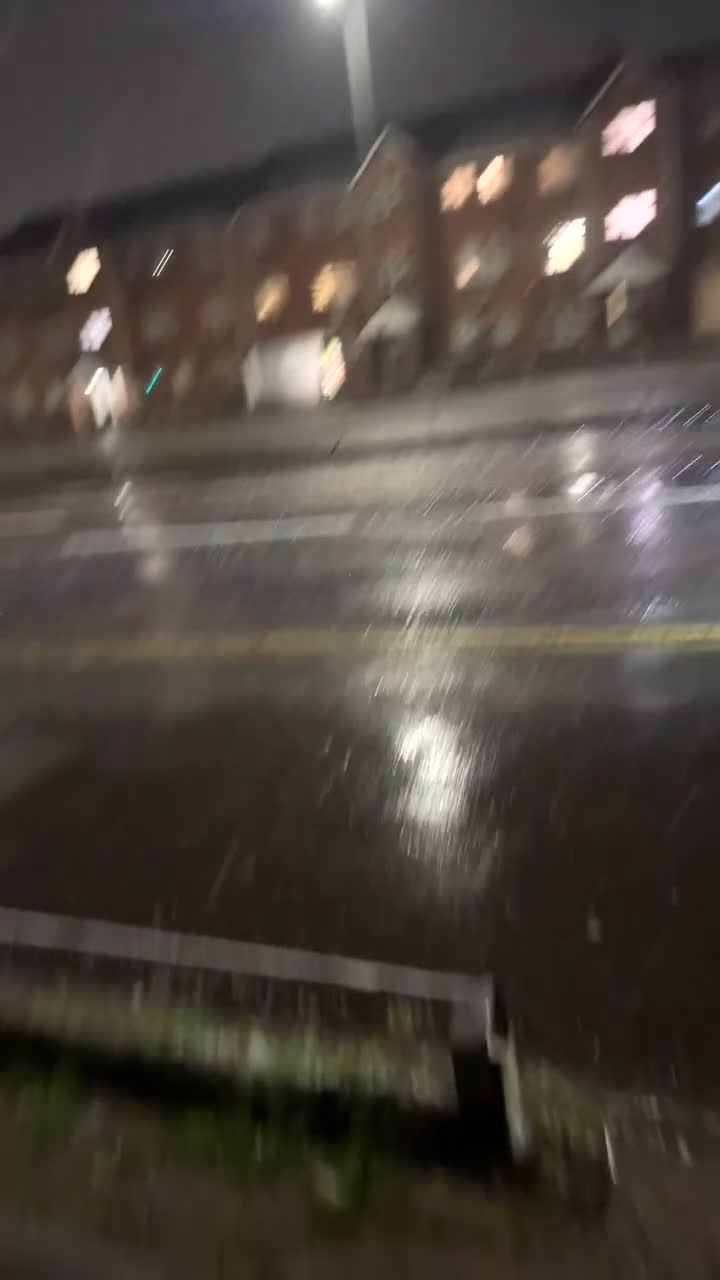 Staffordshire Bull Terrier dogs for sale: Blue  - Video 1