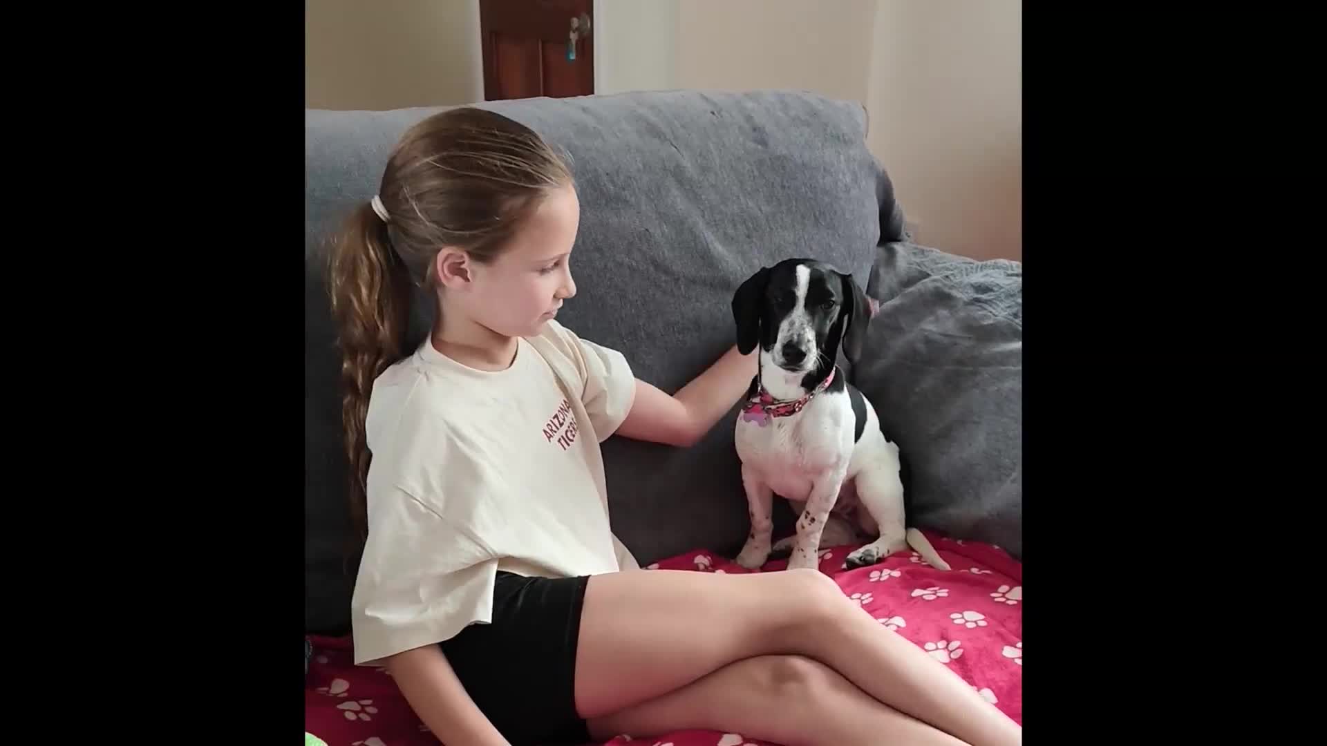 Mixed Breed dogs for adoption: Tessa- little sweetheart 6 months old - Video 2