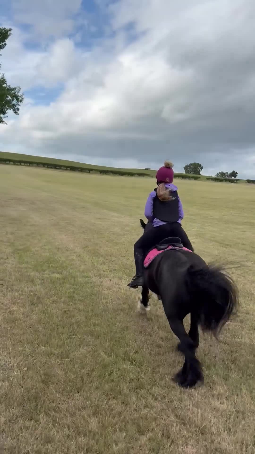 Riding pony horses for sale: 12 yr old cob mare. Perfect happy hacker/lead rein - Video 1