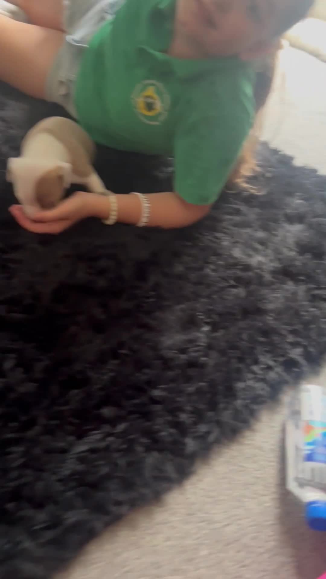 Mixed Breed dogs for sale: 2 beautiful pups (only the boy left) - Video 1