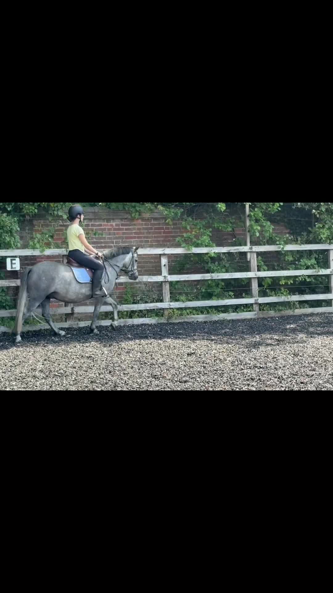 New Forest horses for sale: Fun family pony prospect  - Video 1