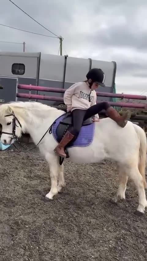 Welsh Section A horses for sale: LEAD REIN PONY  - Video 1