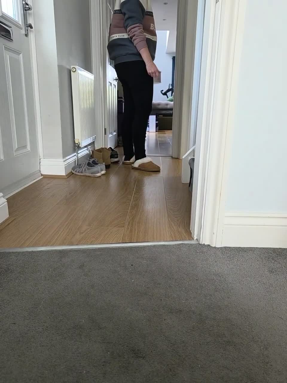 Maine Coon cats for sale: 2 Beautiful kittens looking for a loving family - Video 2