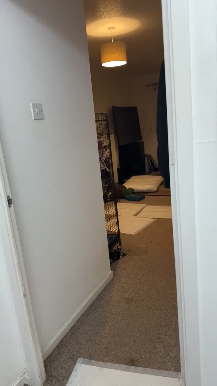 Cockatoo birds for sale: Ghala Cockatoo, and cage - Video 1