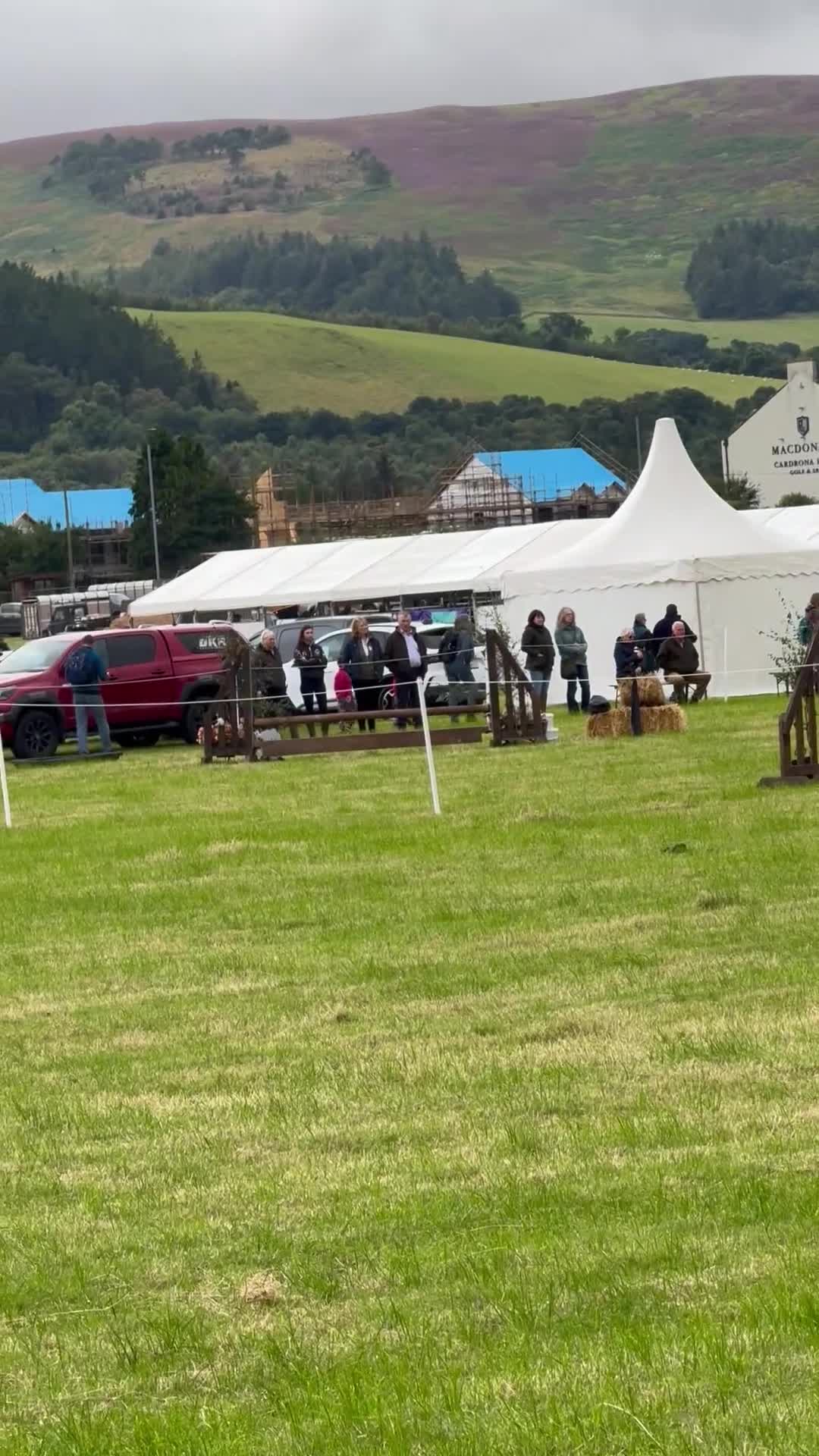Irish Cob horses for sale: Asby Mills cob lightly backed  - Video 2