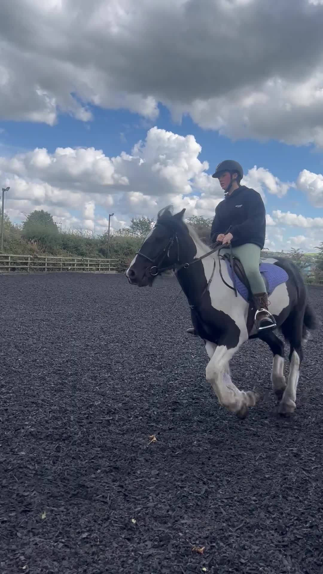 Irish Cob horses for sale: For Sale: Monty - Video 1