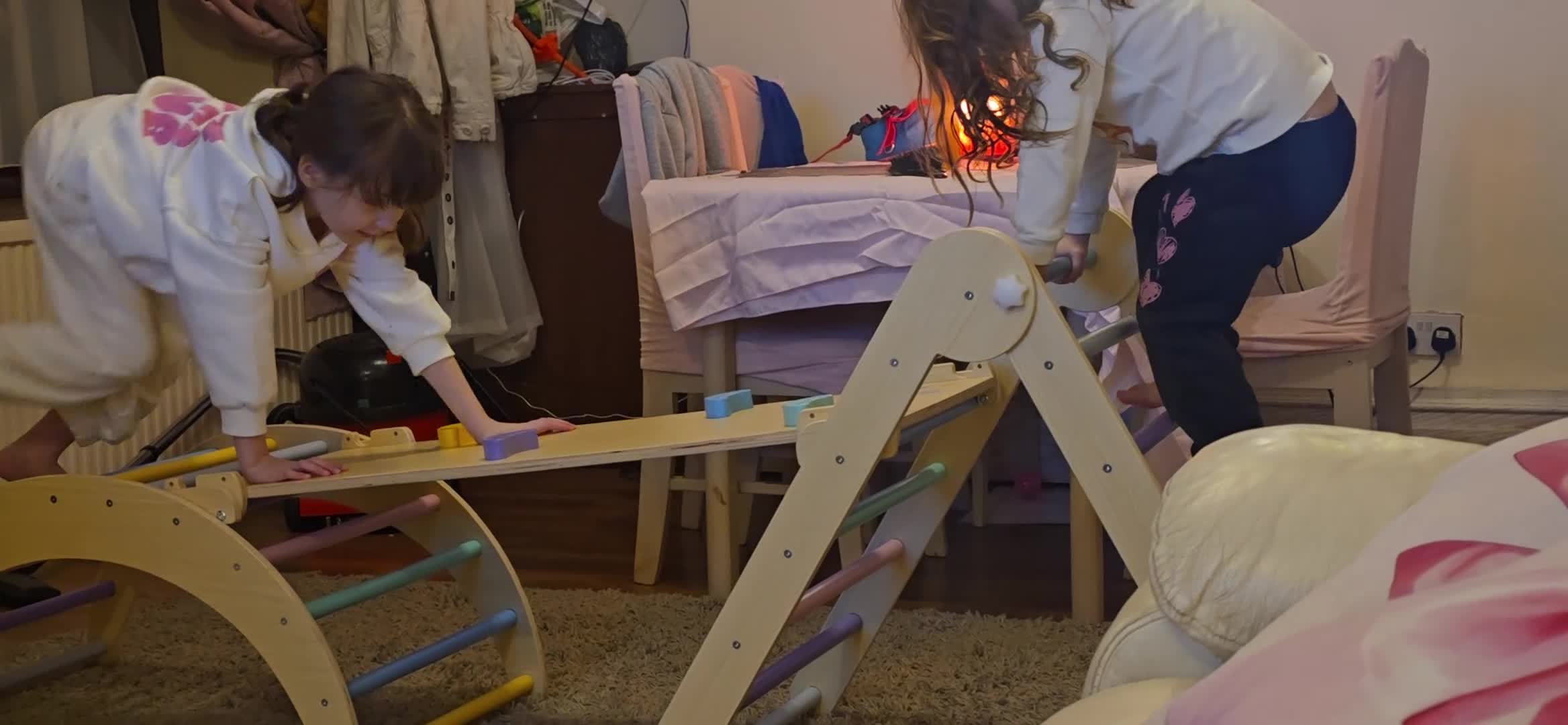 Mixed Breed dogs for sale: Dachsund x porkie (pom, yorkie)  in Tonypandy - Video 3