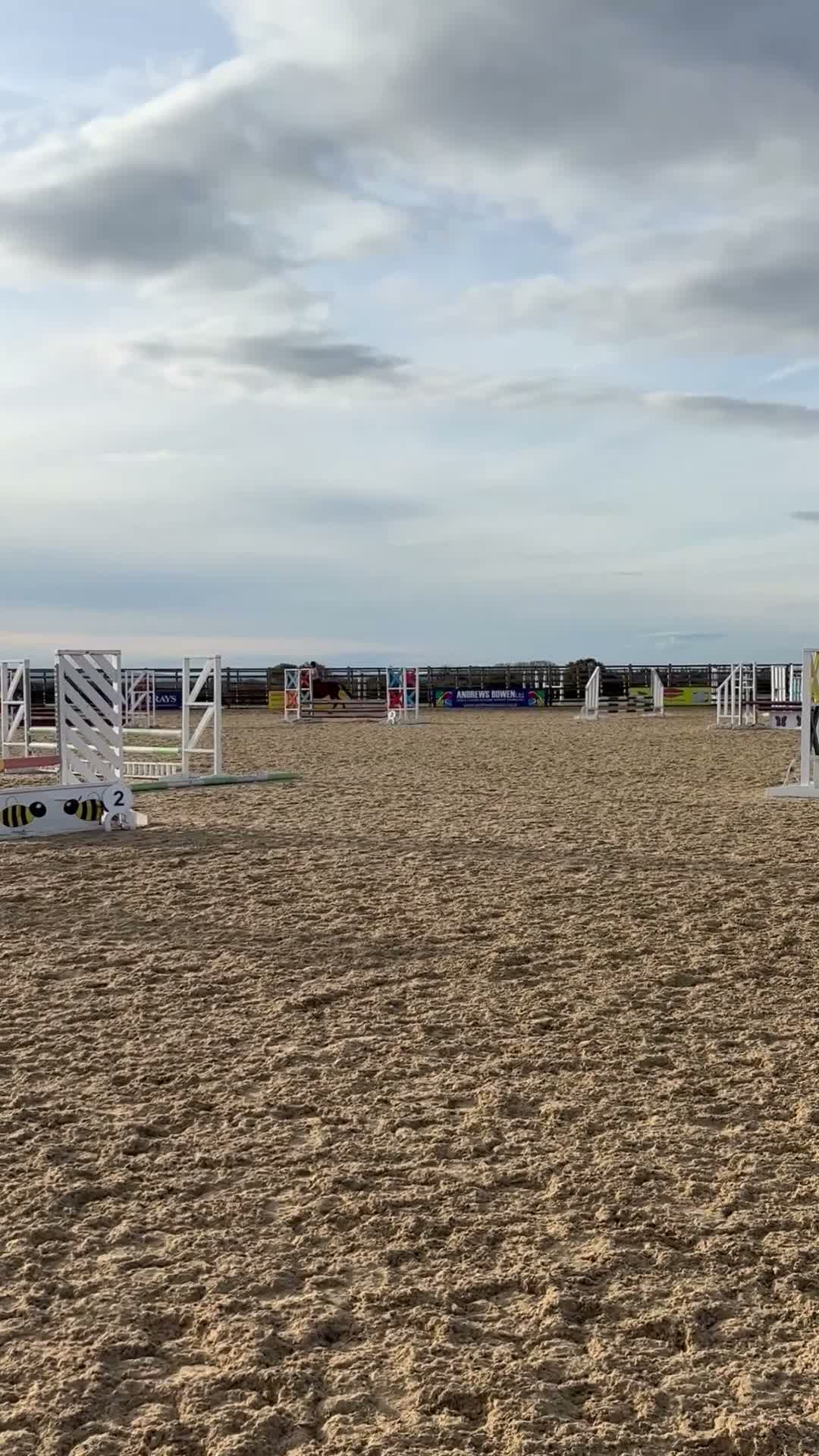 Connemara horses for sale: Genuine allrouder  - Video 1