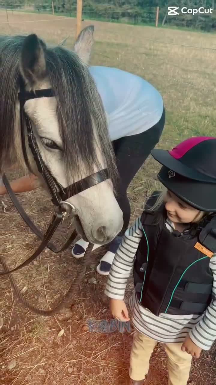 Welsh Section A horses for sale: Registered Welsh Section A Gelding in Newark - Video 1