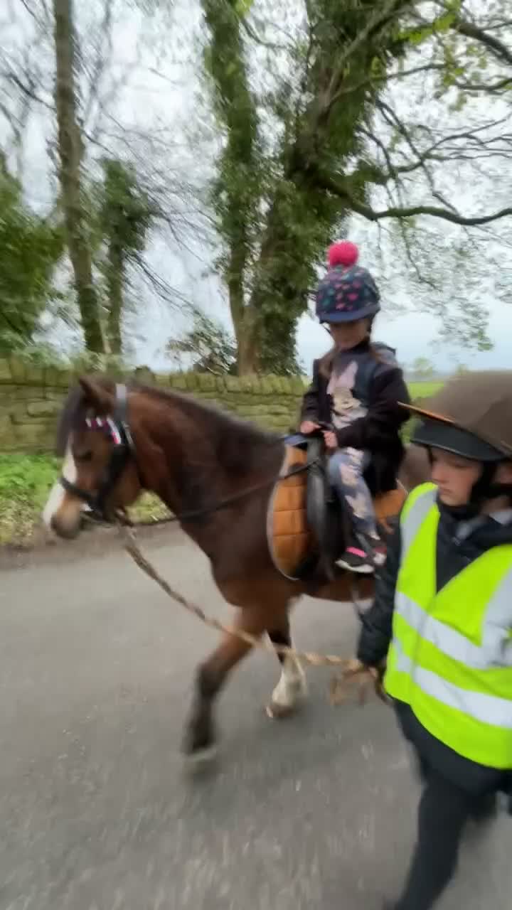 Welsh Section A horses for sale: Kids pony  - Video 3