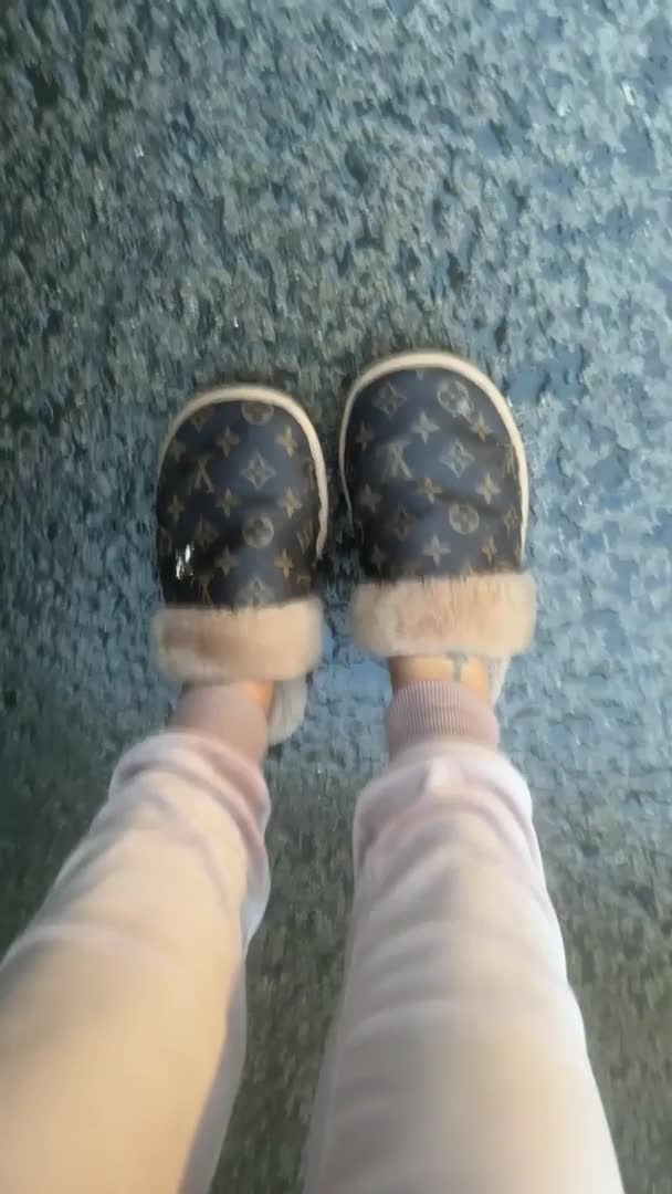 Miniature Poodle dogs for stud: Apricot miniature poodle stud Health tested in Durham - Video 1