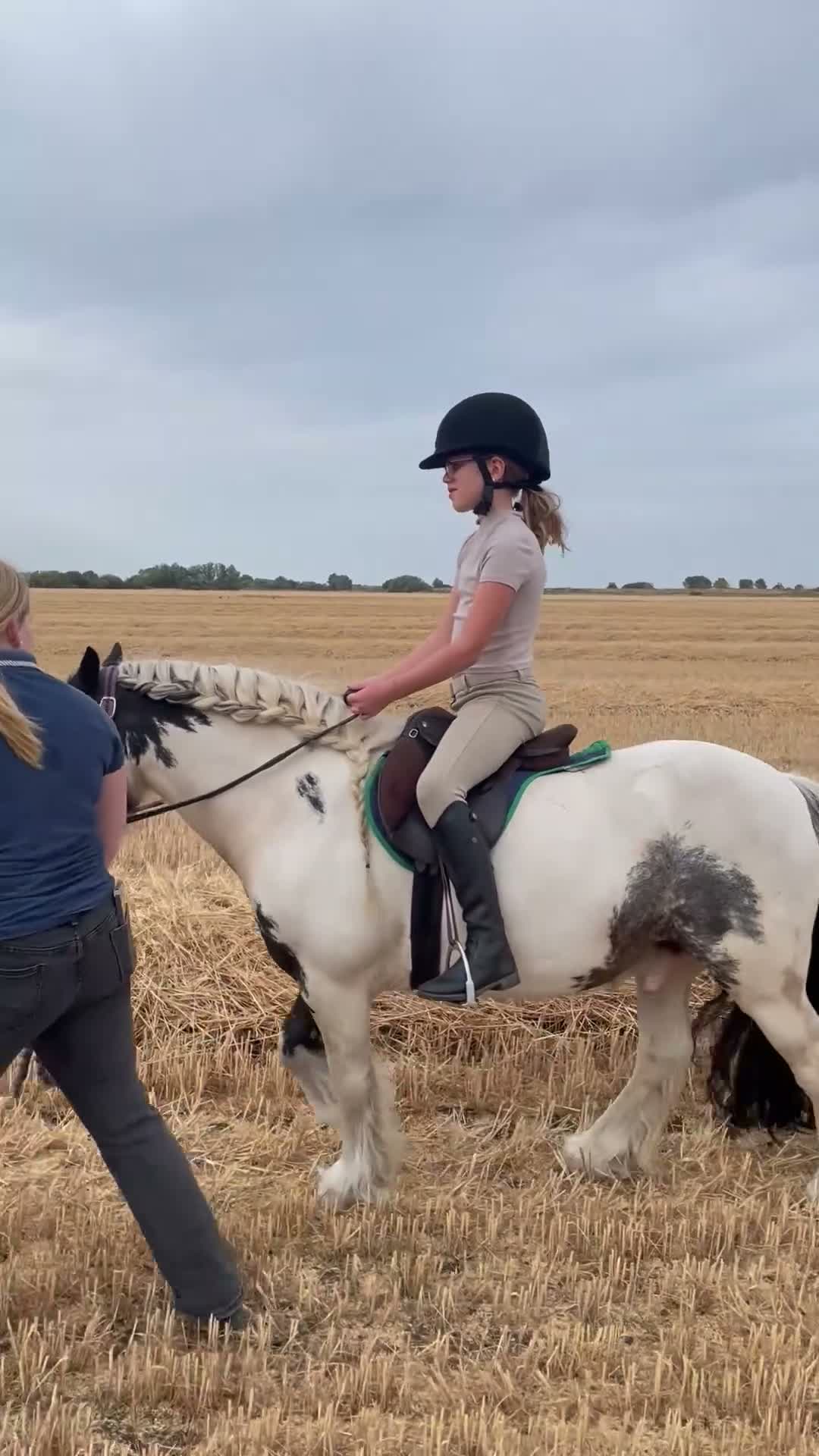 Irish Cob horses for sale: 🌟 7yo Traditional Piebald Cob Gelding – 12hh 🌟 in Huntingdon - Video 2