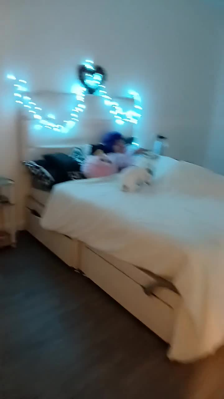 Mixed Breed dogs for sale: Female jack russle 1 years old - Video 1